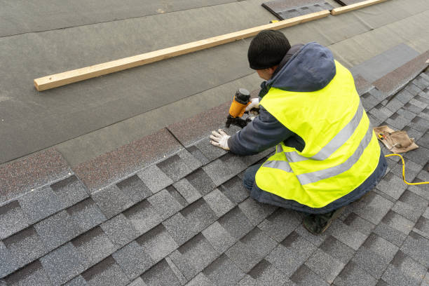 Best Roof Gutter Cleaning  in Bystrom, CA